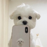 奇妙赛博球