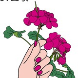 佳佳在此