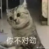 你不对劲