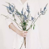周雅姝