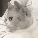 luoegn