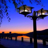 大魏皇后