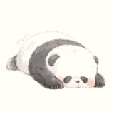 无敌狮子王