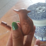 秋天里的张小姐