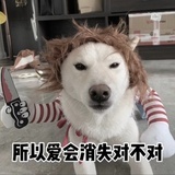 大利最喜欢小博