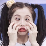 麦猪猪