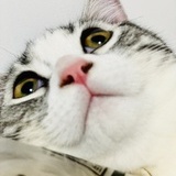 Aima