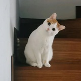 onefine