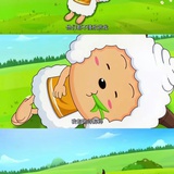 向日葵