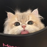 草莓酸奶-