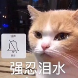 zhoumo