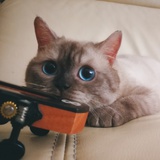 陈二