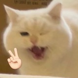 tyfbdra