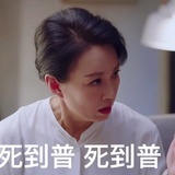 沈红梅女士