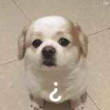 唧唧歪歪