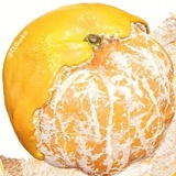 ice orange