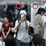 小瓶盖