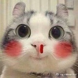 遇见时光