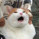 哈哈哈