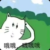 张张