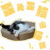 就是懒