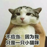 自嘲者