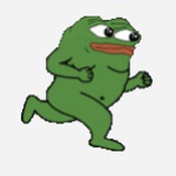 世界上最好的熊