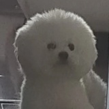 看热闹不嫌事大