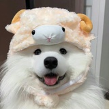 我是我不活了