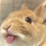 注销