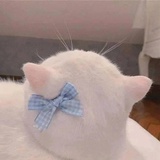 一颗缇缇子