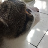 柏柏柏柏柏姑娘