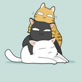 介雨
