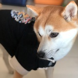 oldsū