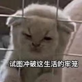 蒜蓉油碟🤤