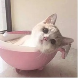 徐丹