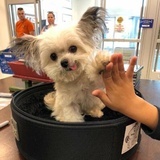 暂住旷野四十年