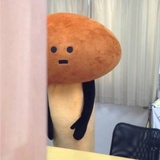 浣花若耶