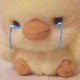 止于