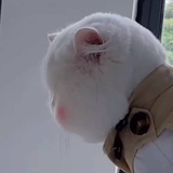 清木少
