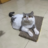 静静小盆友