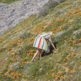 elfin