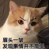 疏钟