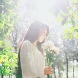 西西柚