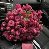 虎皮青椒