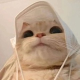拾伍