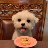 小肥肠