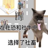 糖分爆表