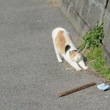 等山老