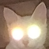 正清